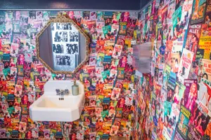 One of Unicorn's bathrooms, decorated with vintage pin-up artwork