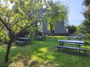 Picnic tables in Unicorn's backyard